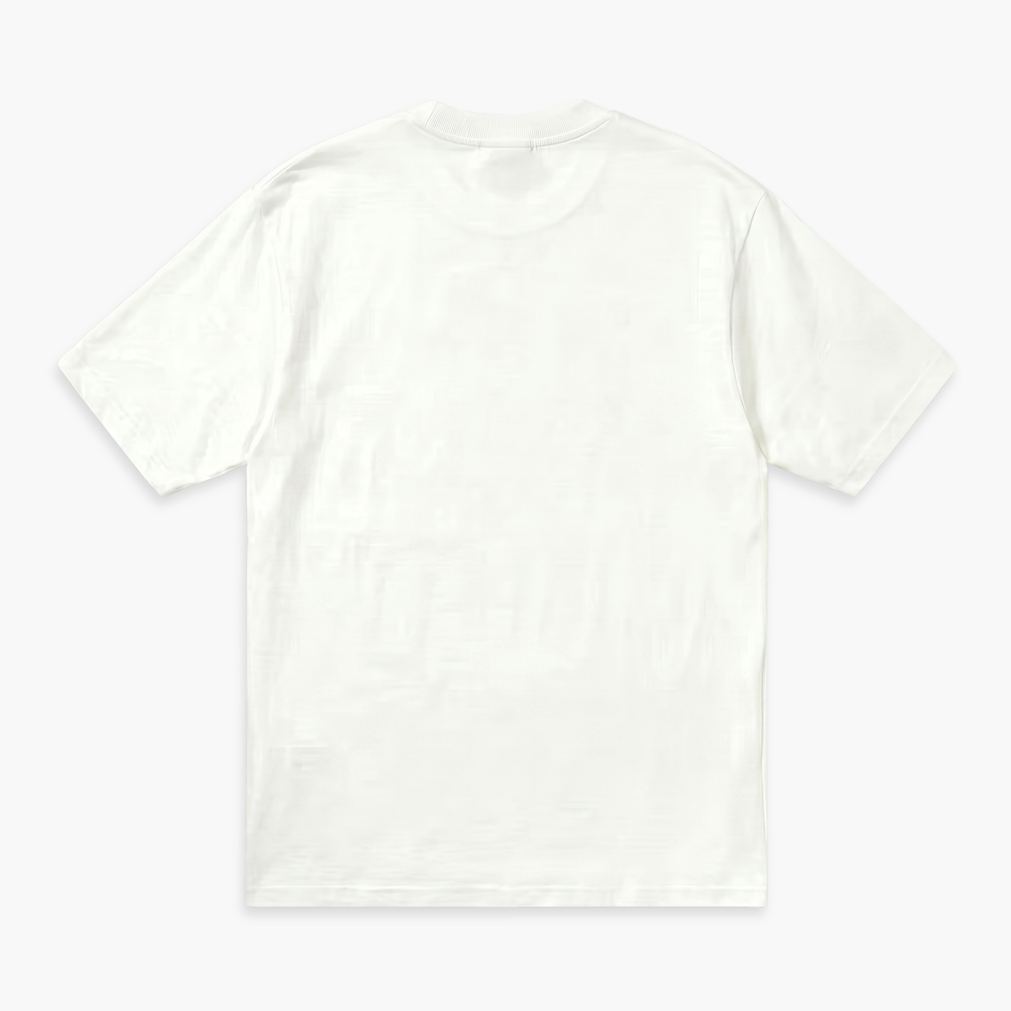 SP5DER 'OG WEB W'