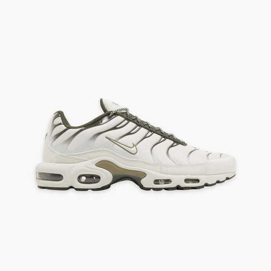TN3 'OLIVE'