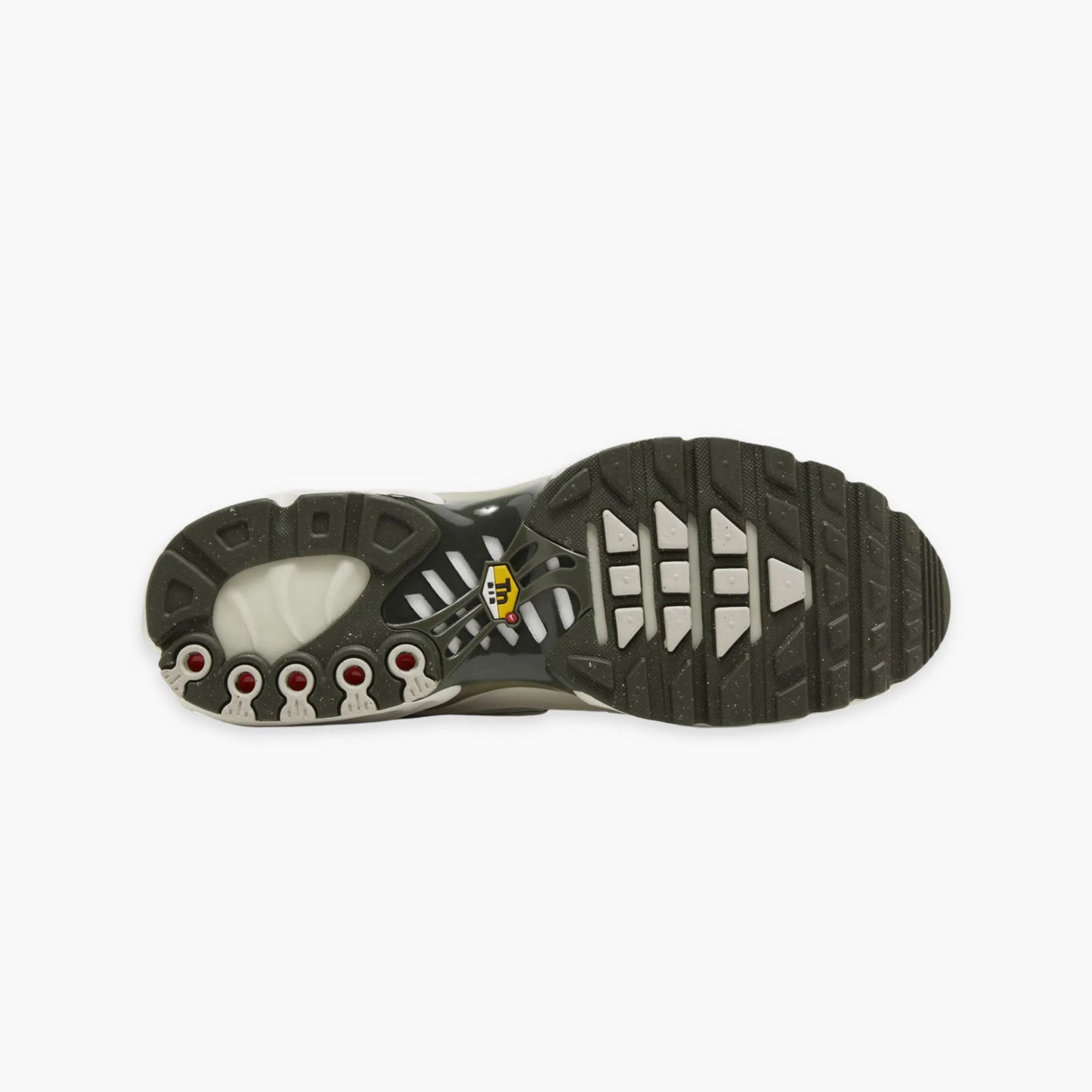 TN3 'OLIVE'