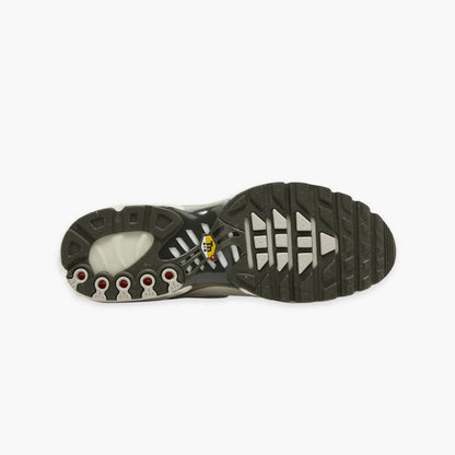 TN3 'OLIVE'