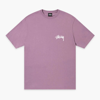 STUSSY 'COAST P'
