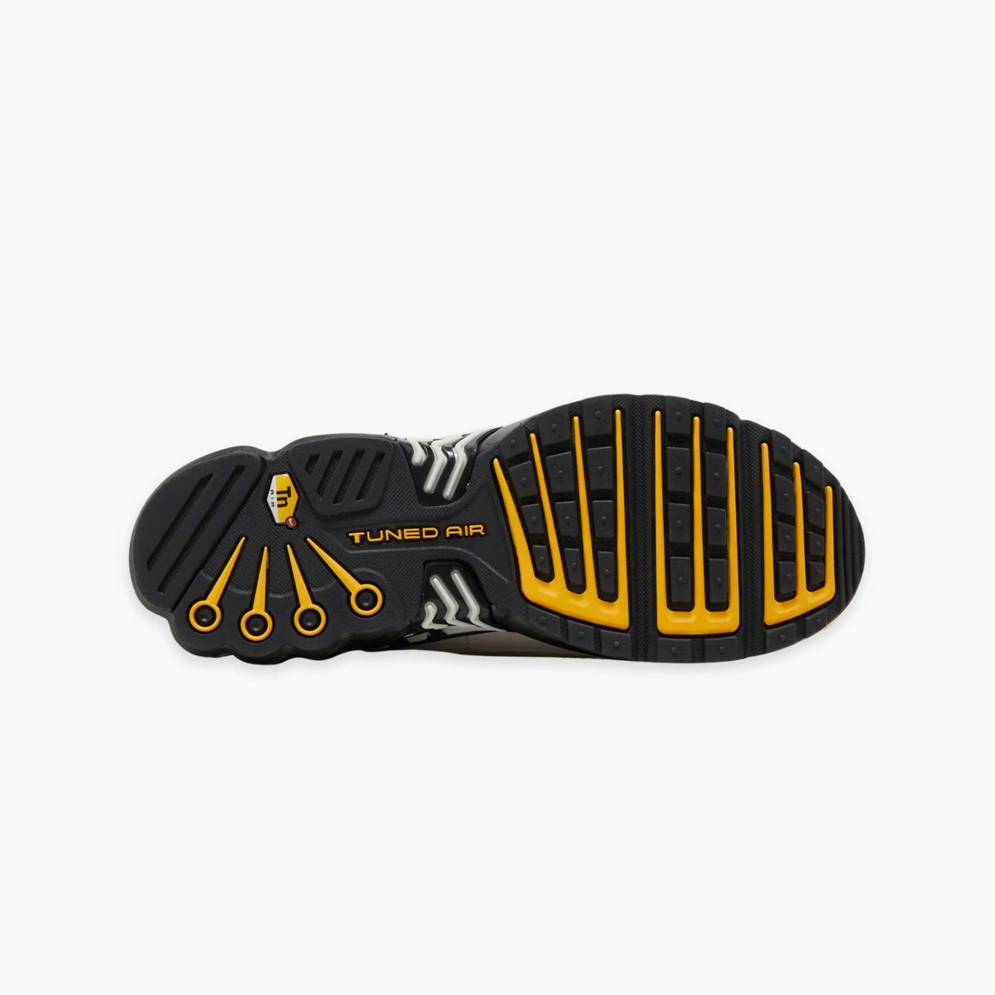 TN3 'BONE'